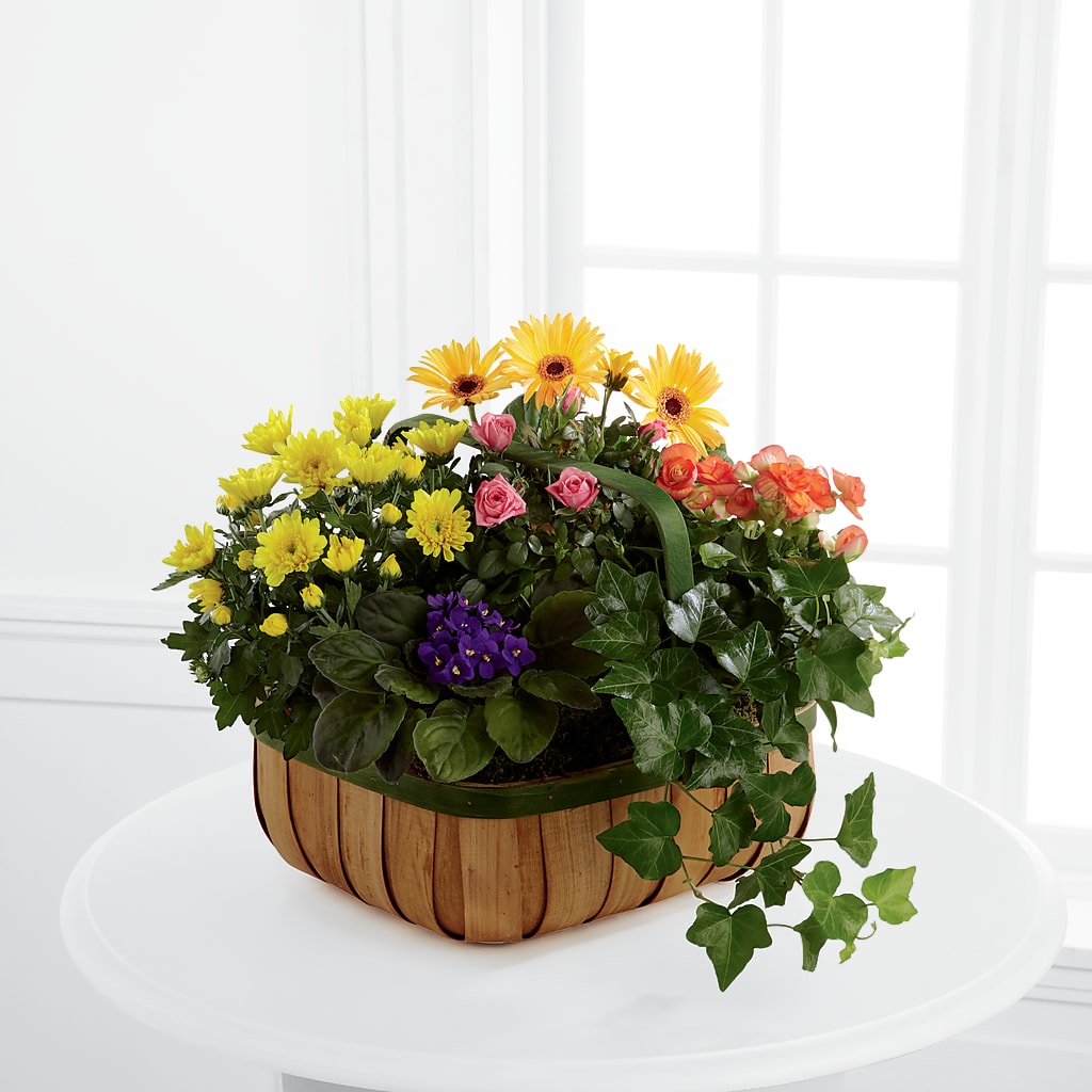 Gentle Blossoms Basket – Acacia Flower Shop Inc, Orangeburg SC