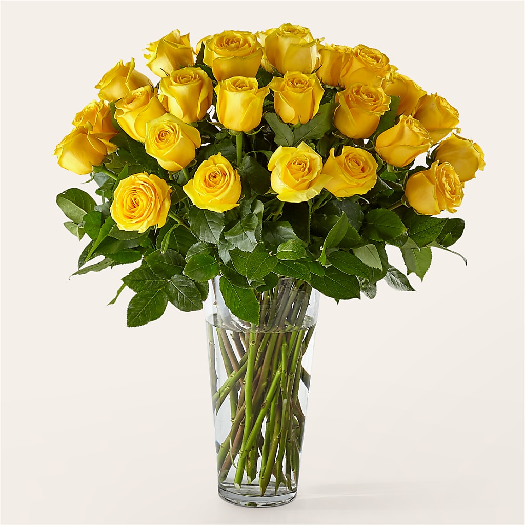 Long Stem Yellow Rose Bouquet – Acacia Flower Shop Inc, Orangeburg SC