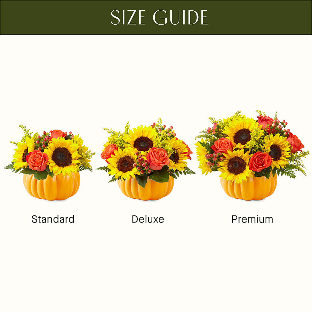 Pick of the Patch Pumpkin Bouquet – Acacia Flower Shop Inc, Orangeburg SC