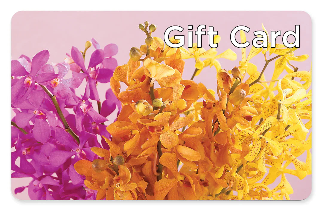 Gift Card – Acacia Flower Shop Inc, Orangeburg SC
