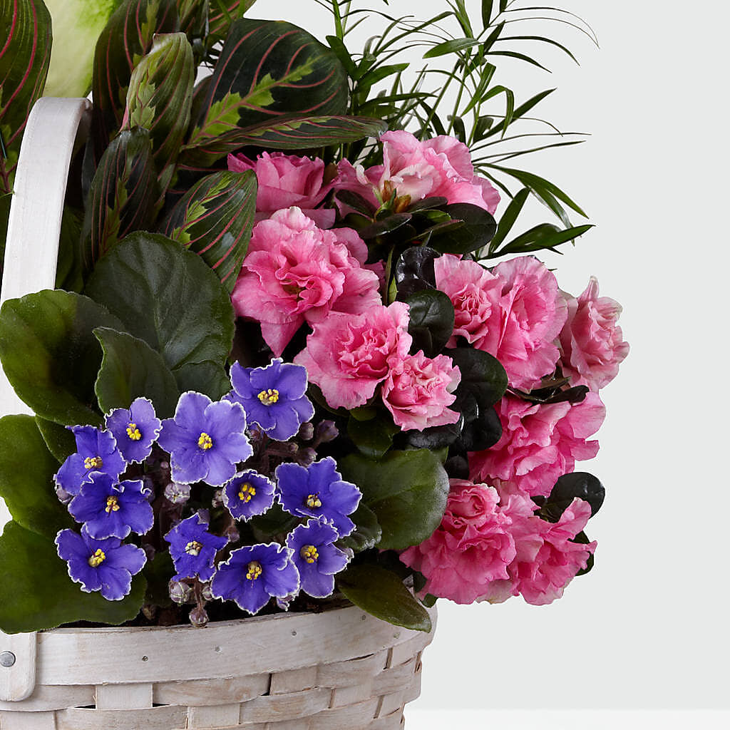 Peaceful Garden Planter – Acacia Flower Shop Inc, Orangeburg SC