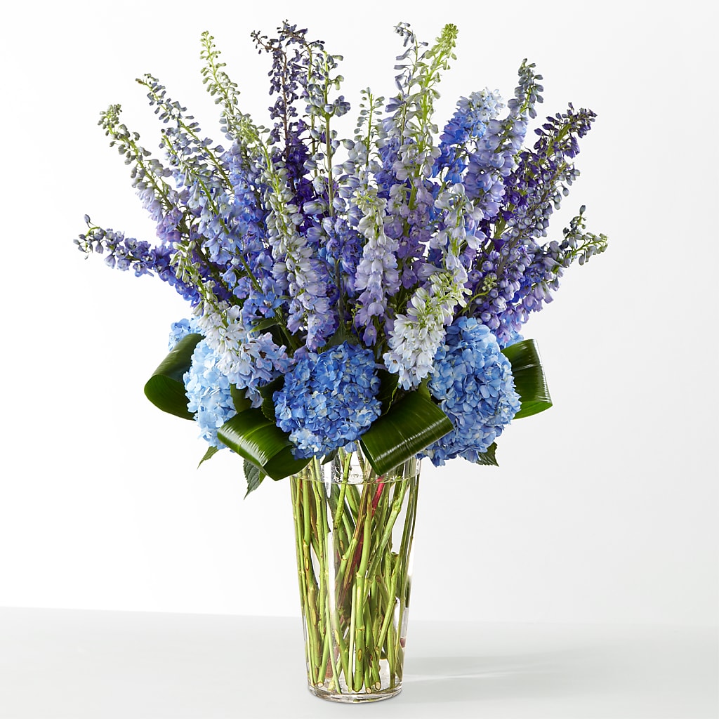 The Editorial – Acacia Flower Shop Inc, Orangeburg SC
