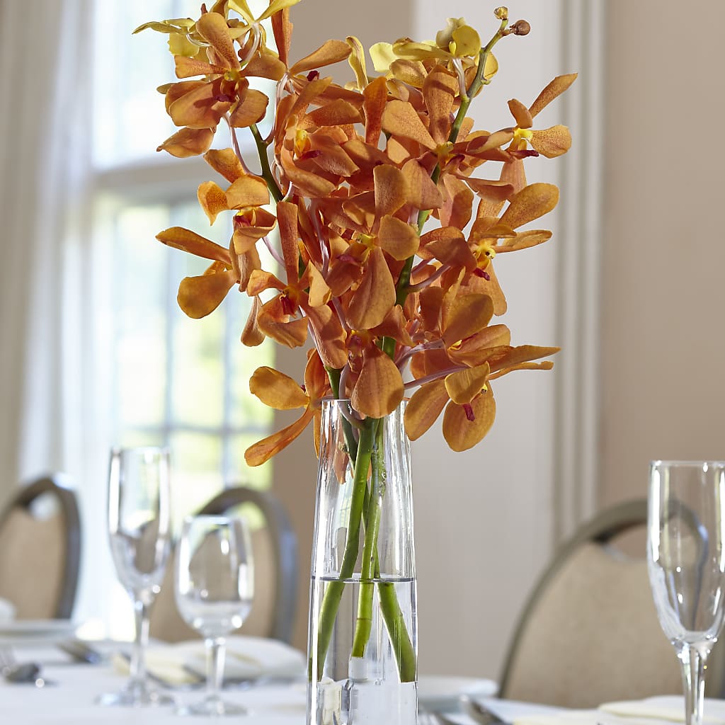 Orange Mokara Bud Vase – Acacia Flower Shop Inc, Orangeburg SC