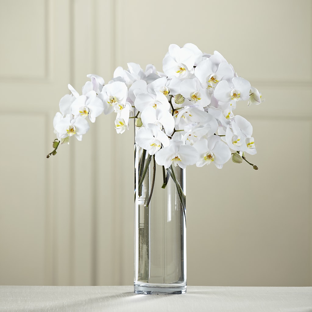 White Phalaenopsis Bouquet – Acacia Flower Shop Inc, Orangeburg SC