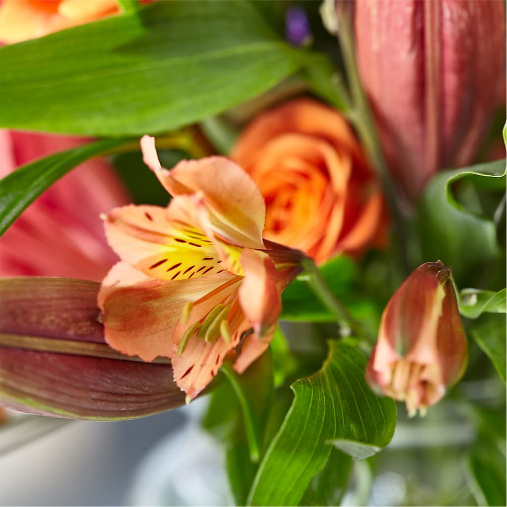 Bold & Bright – A Florist Original –  Acacia Flower Shop Inc, Orangeburg SC