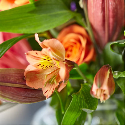 Bold & Bright – A Florist Original –  Acacia Flower Shop Inc, Orangeburg SC