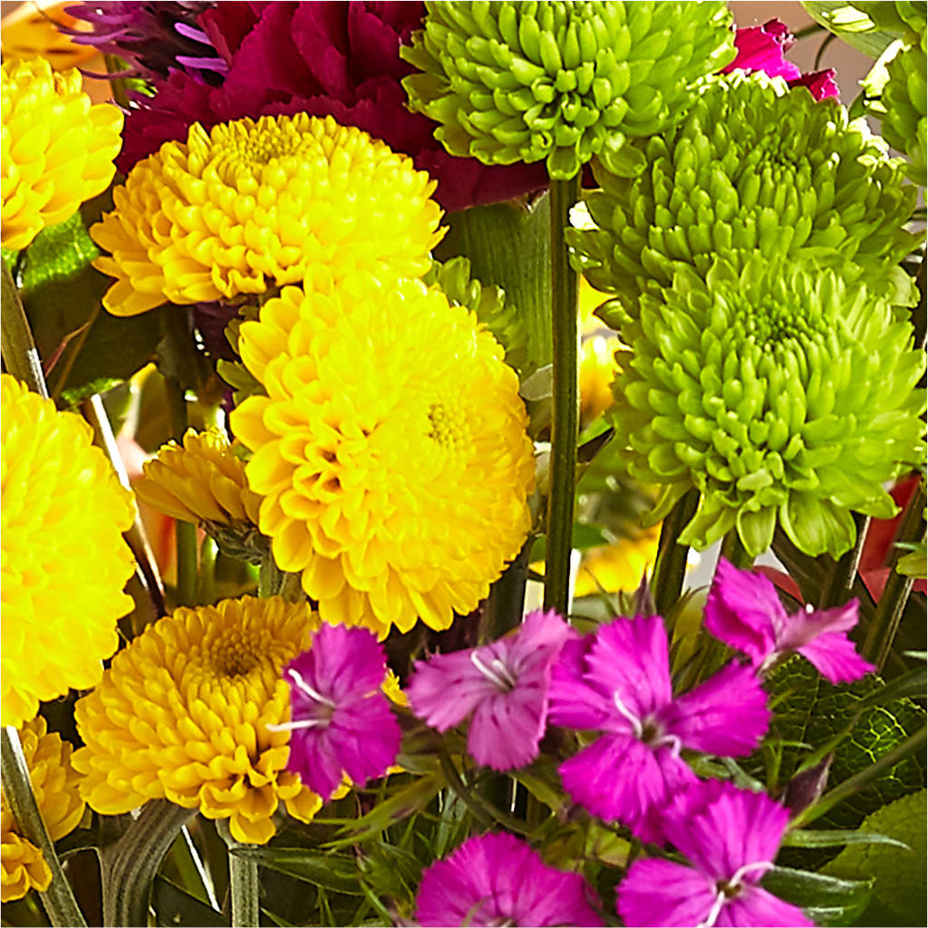 Bold & Bright – A Florist Original –  Acacia Flower Shop Inc, Orangeburg SC
