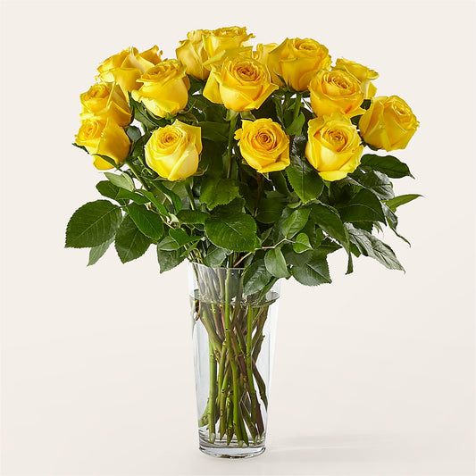 Long Stem Yellow Rose Bouquet –  Acacia Flower Shop Inc, Orangeburg SC