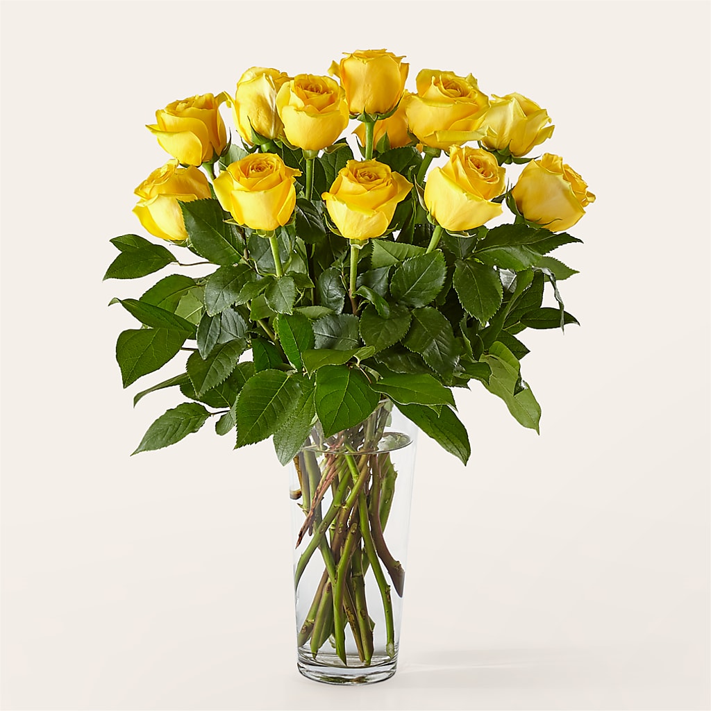 Long Stem Yellow Rose Bouquet –  Acacia Flower Shop Inc, Orangeburg SC