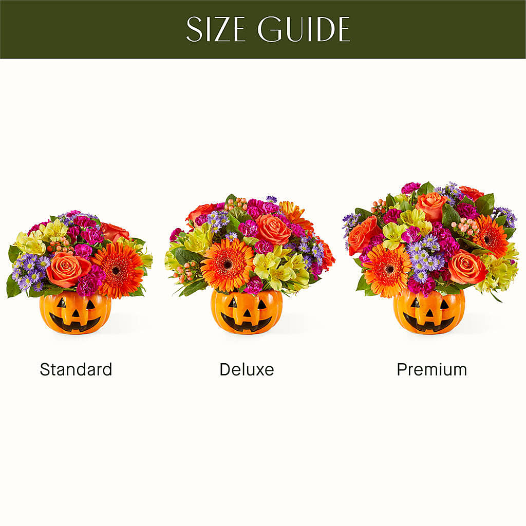 Tricks & Treats Pumpkin –  Acacia Flower Shop Inc, Orangeburg SC