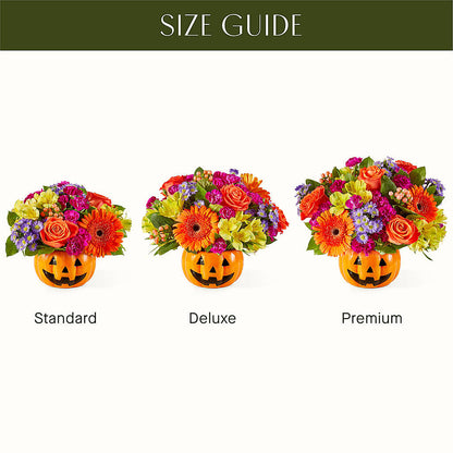 Tricks & Treats Pumpkin –  Acacia Flower Shop Inc, Orangeburg SC