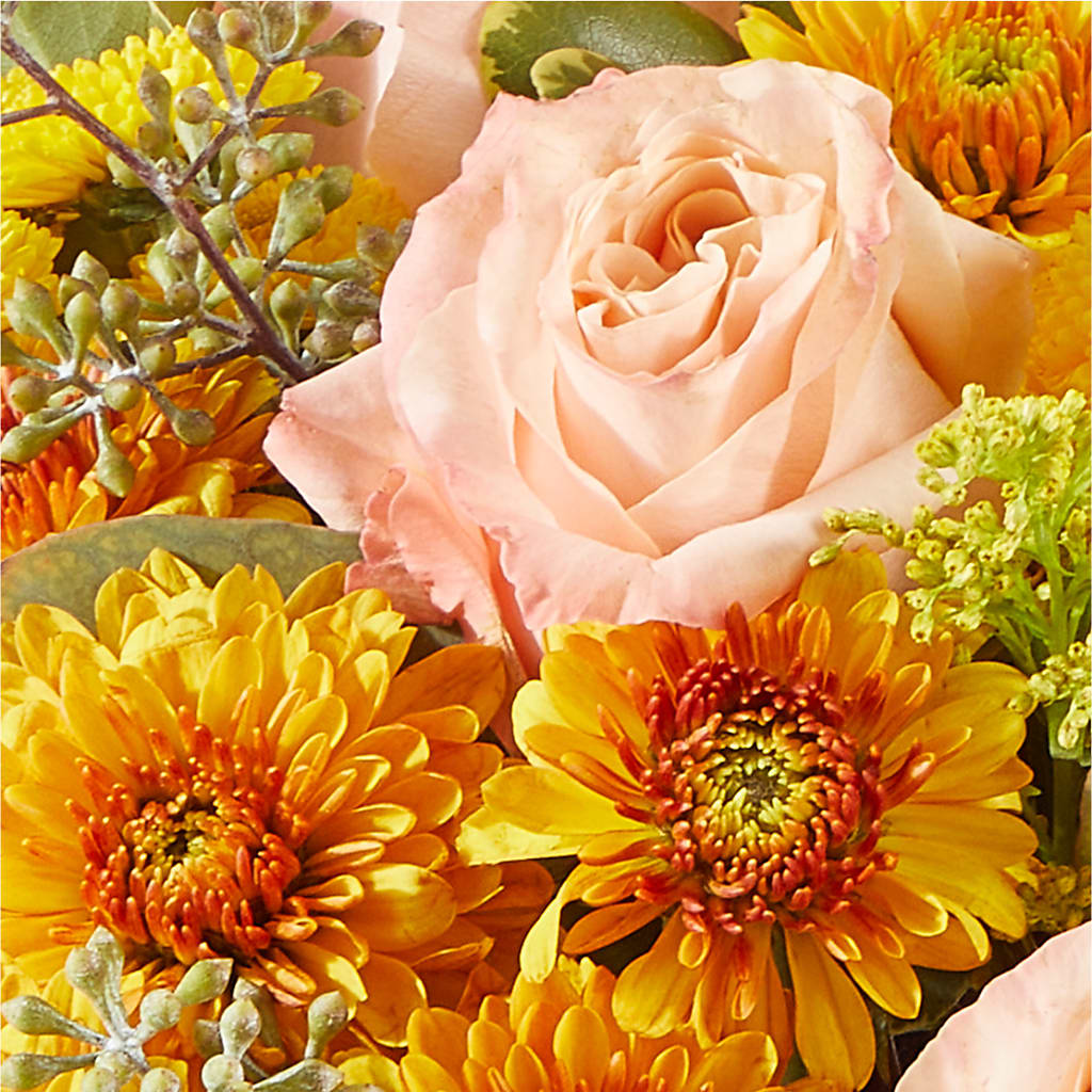 Peachy Pumpkin –  Acacia Flower Shop Inc, Orangeburg SC