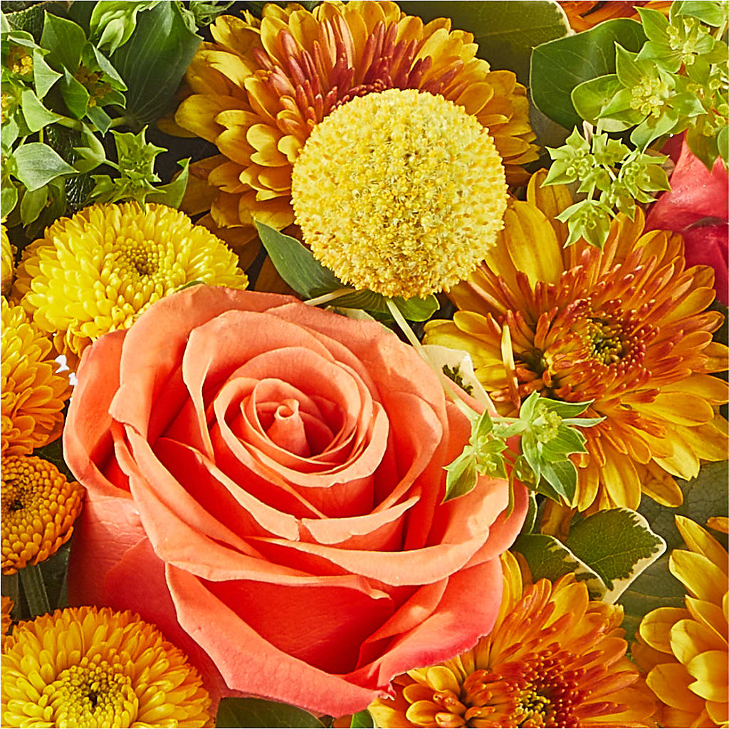 Gourdgeous Pumpkin –  Acacia Flower Shop Inc, Orangeburg SC