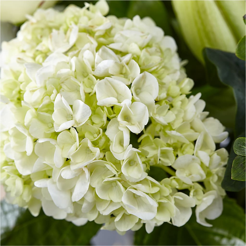 Classic Ivory – A Florist Original –  Acacia Flower Shop Inc, Orangeburg SC
