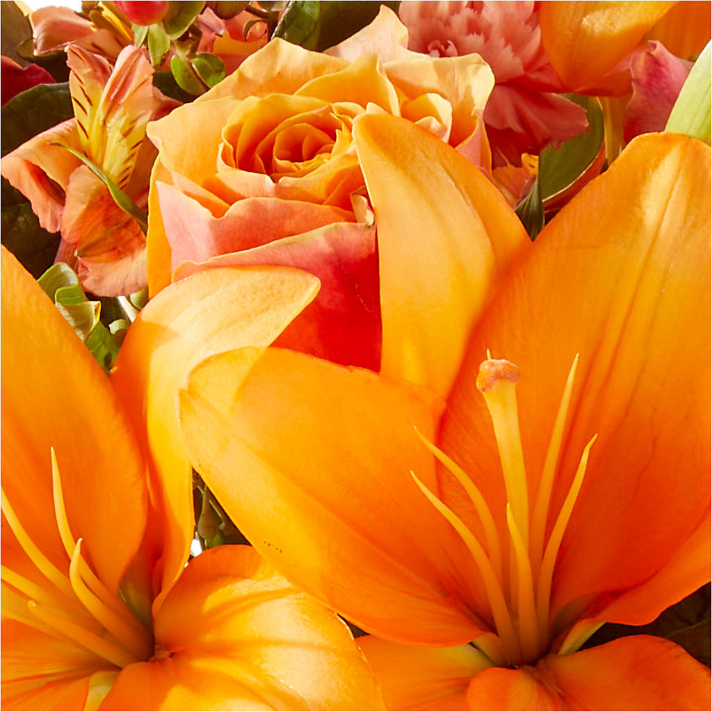 Afternoon Light Bouquet –  Acacia Flower Shop Inc, Orangeburg SC