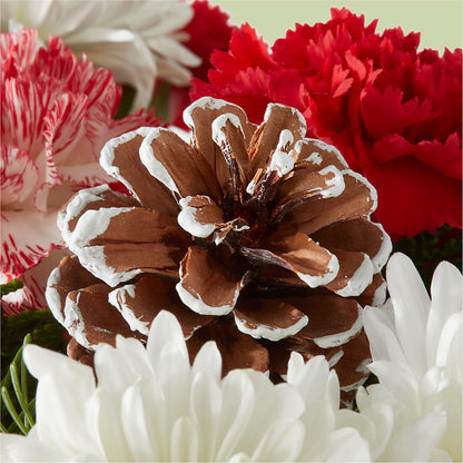 Candy Cane Lane Bouquet –  Acacia Flower Shop Inc, Orangeburg SC