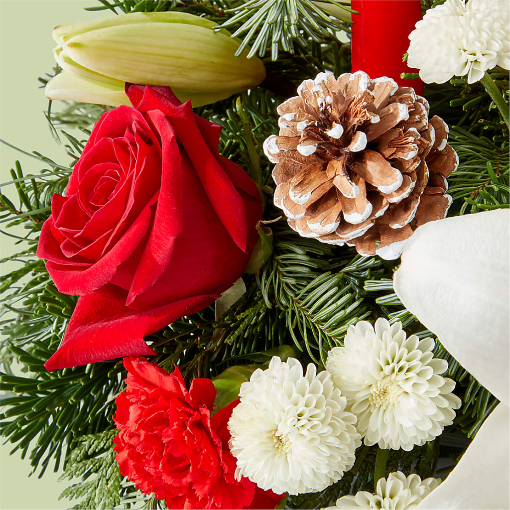 Seasonal Festivities Centerpiece –  Acacia Flower Shop Inc, Orangeburg SC