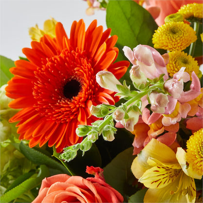 Autumn Sunshine Bouquet –  Acacia Flower Shop Inc, Orangeburg SC