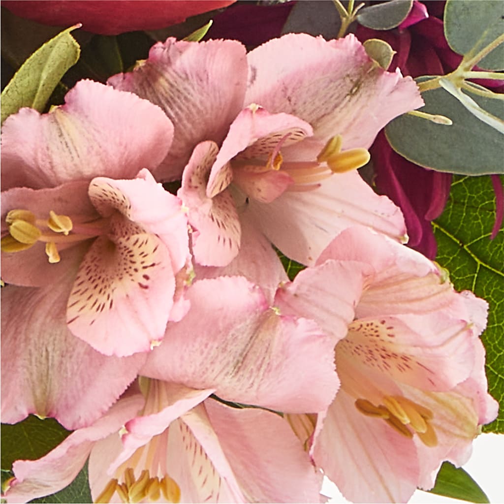 Berry Cobbler Bouquet –  Acacia Flower Shop Inc, Orangeburg SC