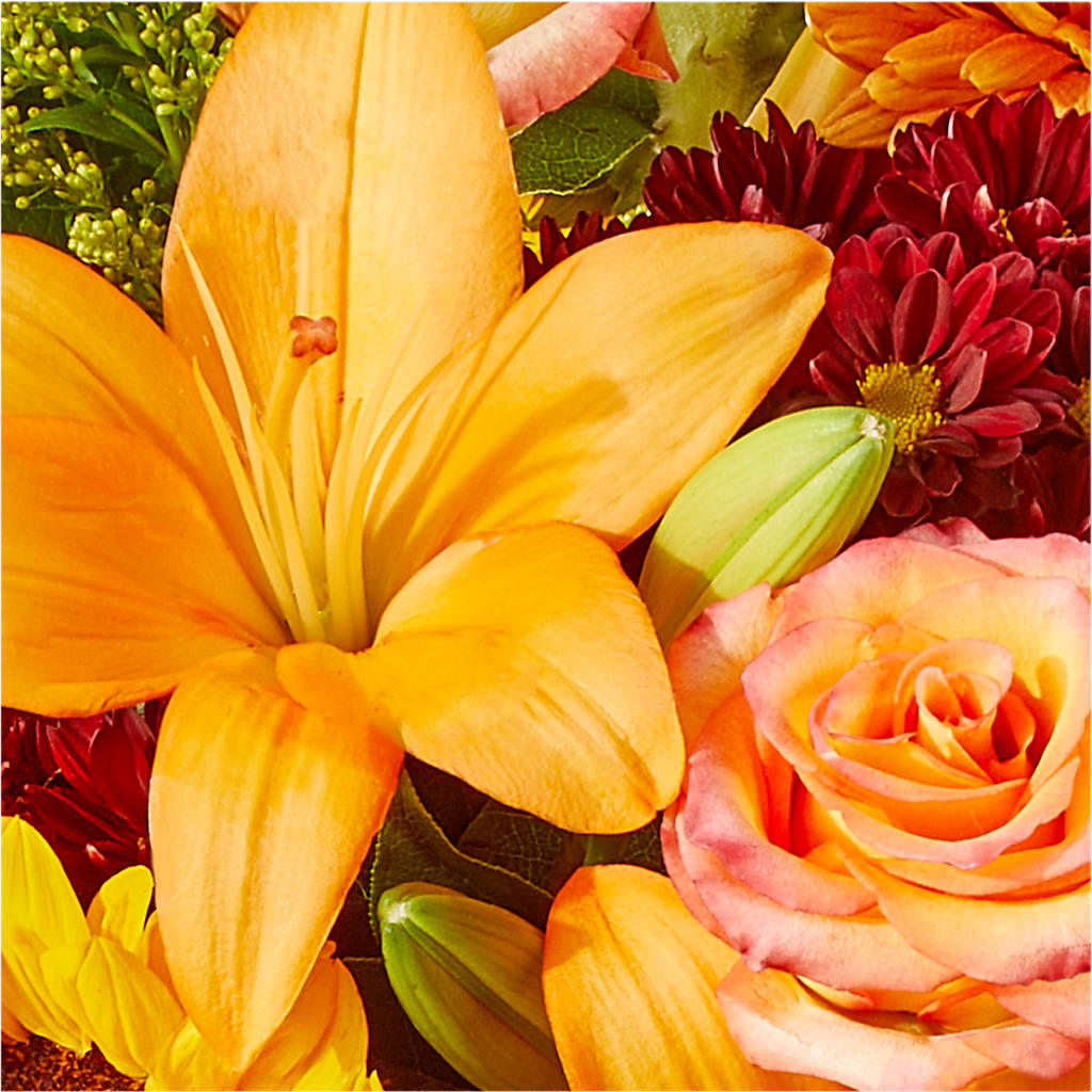 Seasons Change Bouquet –  Acacia Flower Shop Inc, Orangeburg SC