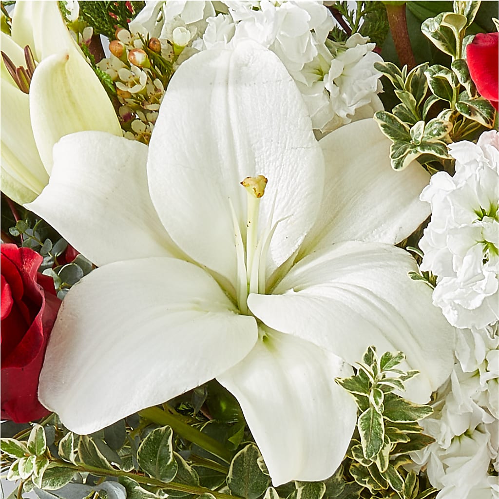 Twinkle Lights Bouquet –  Acacia Flower Shop Inc, Orangeburg SC