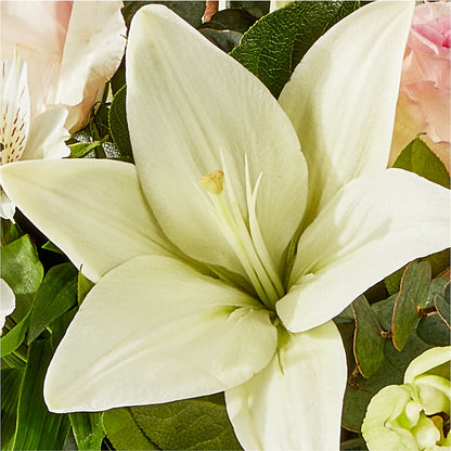 Ballet Slippers Bouquet –  Acacia Flower Shop Inc, Orangeburg SC