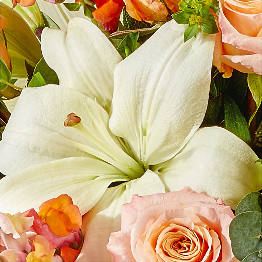 Grapefruit Splash Bouquet –  Acacia Flower Shop Inc, Orangeburg SC