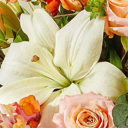 Grapefruit Splash Bouquet –  Acacia Flower Shop Inc, Orangeburg SC