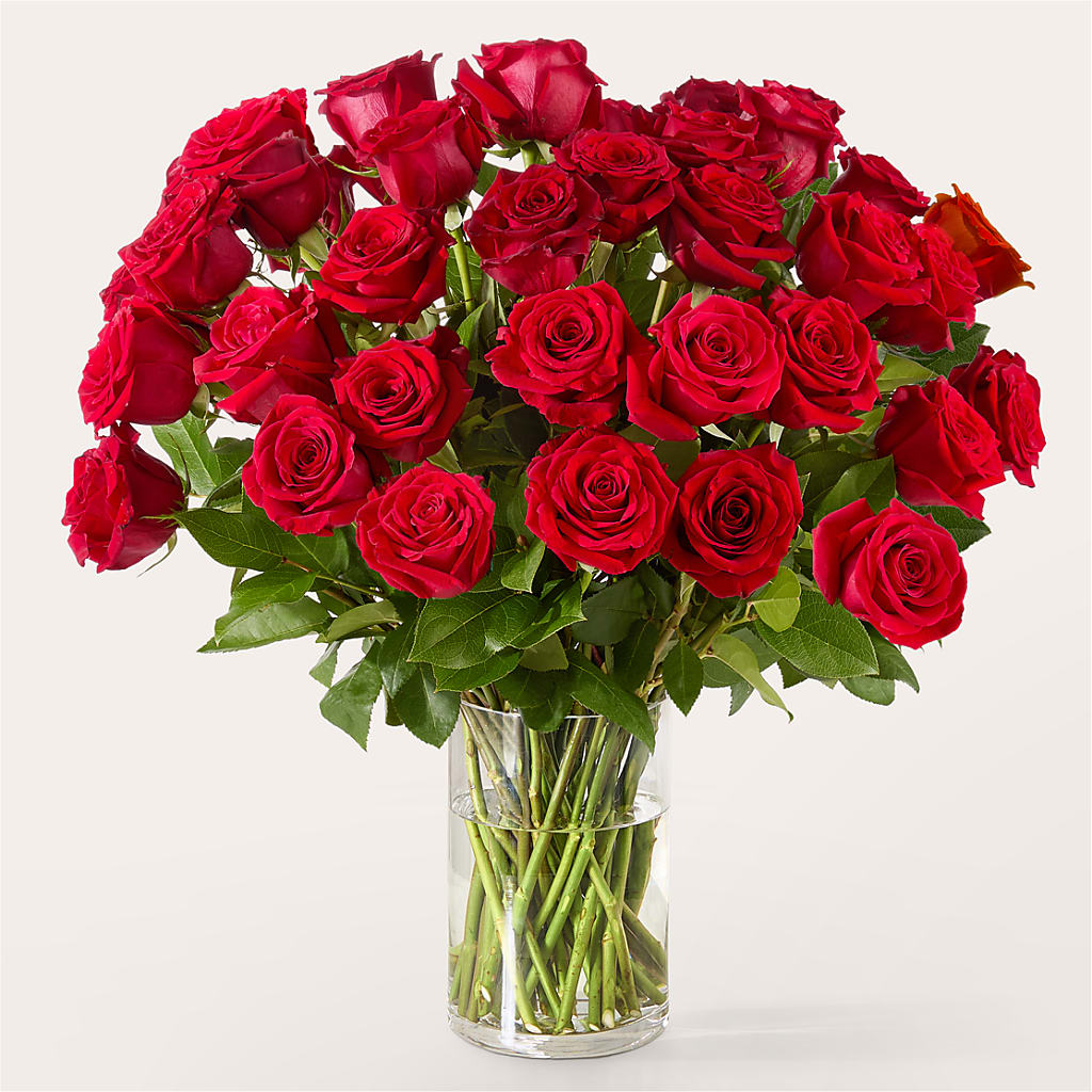 The One Red Rose Bouquet –  Acacia Flower Shop Inc, Orangeburg SC