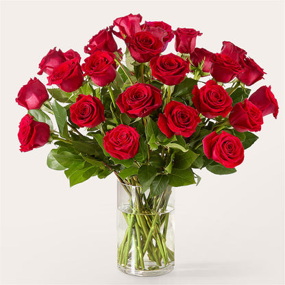 The One Red Rose Bouquet –  Acacia Flower Shop Inc, Orangeburg SC