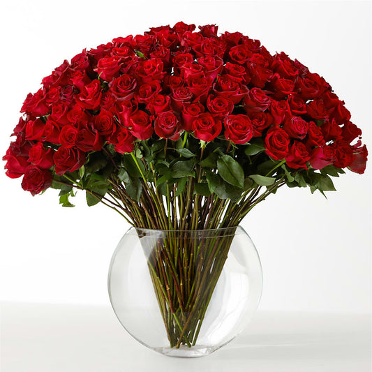 The Idealist –  Acacia Flower Shop Inc, Orangeburg SC